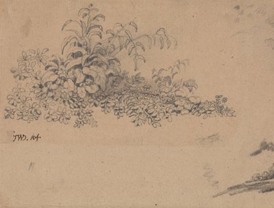 Study of Undergrowth by James Ward